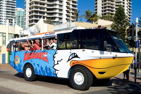 Aquaduck Gold Coast 1 Hour City And River Tour - Tourism Guide 5