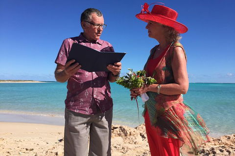 Elope In Paradise - Weddings At Mission Beach - Cruises Travel 4