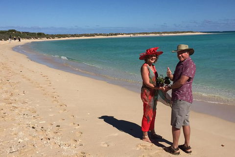 Elope In Paradise - Weddings At Mission Beach - Cruises Travel 6
