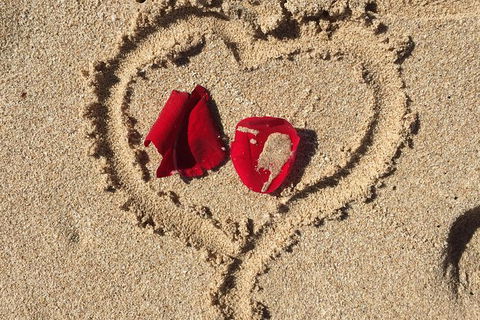 Elope In Paradise - Weddings At Mission Beach - Cruises Travel 3