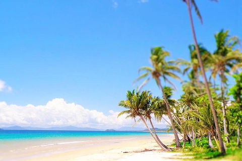Airport Transfer - Mission Beach To Cairns Airport - Cruises Travel 3