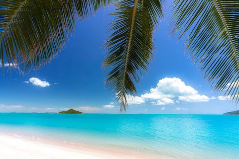 Reef, Wildlife & Rainforest - Reef & Beyond Guided Holidays - Tourism Guide 4
