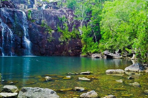 Reef, Wildlife & Rainforest - Reef & Beyond Guided Holidays - Tourism Guide 0