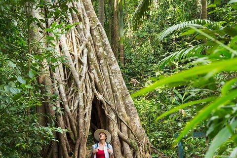 Reef, Wildlife & Rainforest - Reef & Beyond Guided Holidays - Tourism Guide 2