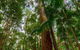 3-Day Fraser Island Hiking And 4WD Adventure From Hervey Bay - thumb 1