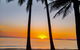 Private Transfers - Cairns Airport To Palm Cove - thumb 9