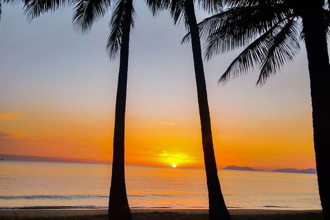 Private Transfers - Cairns Airport To Palm Cove - Tourism Guide 9