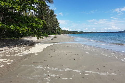 Private Transfers - Cairns Airport To Palm Cove - Tourism Guide 1