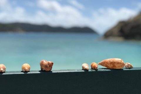 7-Day Private Sea Kayaking In Whitsundays - Tourism Guide 1