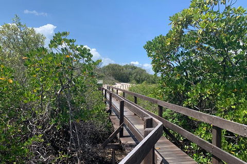 Hinchinbrook Island Tour - Tourism Guide 4