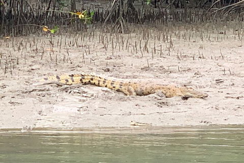 Hinchinbrook Island Tour - Tourism Guide 2