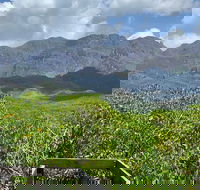 Hinchinbrook Island Tour - Cruises Travel