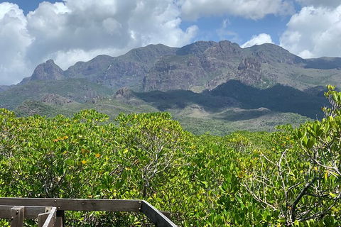 Hinchinbrook Island Tour - Tourism Guide 0