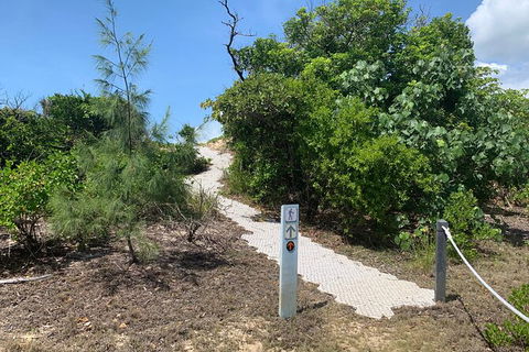 Hinchinbrook Island Tour - Tourism Guide 1