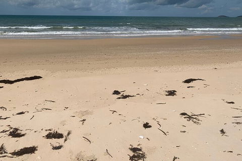 Hinchinbrook Island Tour - Tourism Guide 6