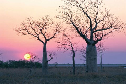 8-Day Outback Experience From Queensland - Tourism Guide 0