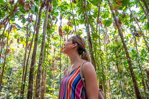5 Day Australia Retreat: Queensland Daintree - Tourism Guide 3