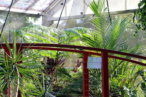Australian Butterfly Sanctuary- Virtual Interactive Tour With Private Guide - Tourism Guide 2