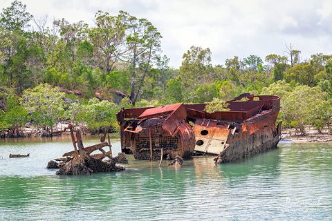 Sandy Straits Scenic & Wildlife Cruise - Cruises Travel 9