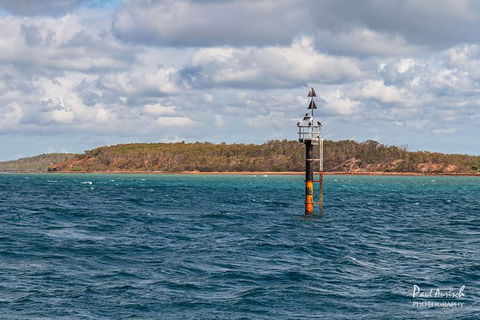 Sandy Straits Scenic & Wildlife Cruise - Cruises Travel 6