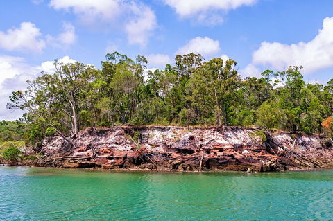 Sandy Straits Scenic & Wildlife Cruise - Cruises Travel 2