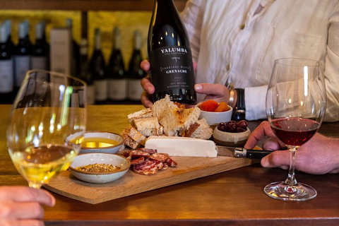 Yalumba Nursery & Grenache Discovery Tour + Platter Lunch - Tourism Guide 2