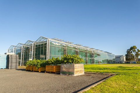 Yalumba Nursery & Grenache Discovery Tour + Platter Lunch - Tourism Guide 5