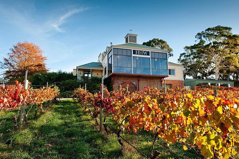 Adelaide Hills Food, Wine, Cheese, & Chocolate - Private Day Tour - Tourism Guide 7