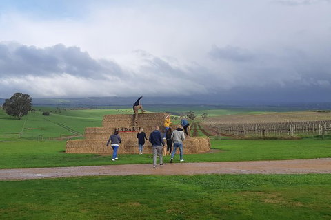 Private Wine Tour - Travel Agents 4