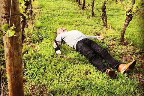 Tamar Valley Wine Tours - Tourism Guide 28