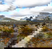 Cradle Mountain Day Tour - Tourism Guide