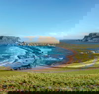 Cruise Ship Special from Burnie to Stanley and The Nut - Tourism Guide