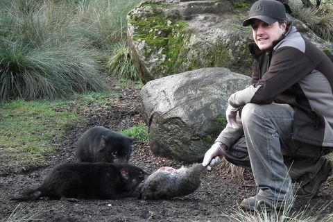 After Dark Tasmanian Devil Feeding Tour At Cradle Mountain - Tourism Guide 0