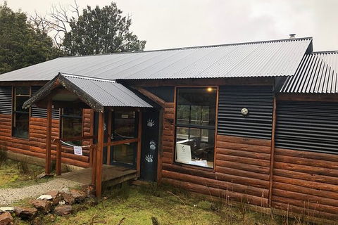 After Dark Tasmanian Devil Feeding Tour At Cradle Mountain - Tourism Guide 6