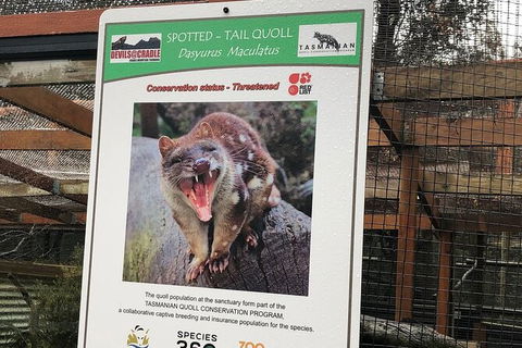 After Dark Tasmanian Devil Feeding Tour At Cradle Mountain - Tourism Guide 2