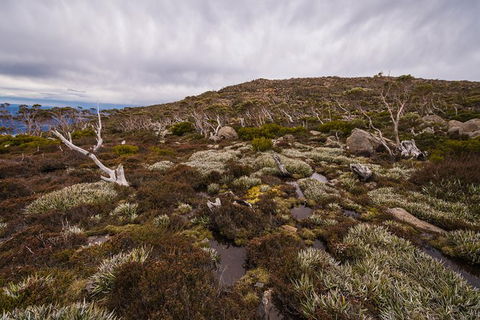 Alpine Loop - Tourism Guide 0