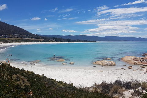 Wineglass Bay Day Tour - Tourism Guide 3