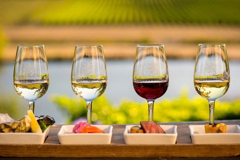 Launceston Wine & Sightseeing Tours - Tourism Guide 4