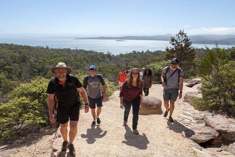 Half-Day Tour To Wineglass Bay From Launceston With Guide - Tourism Guide 4