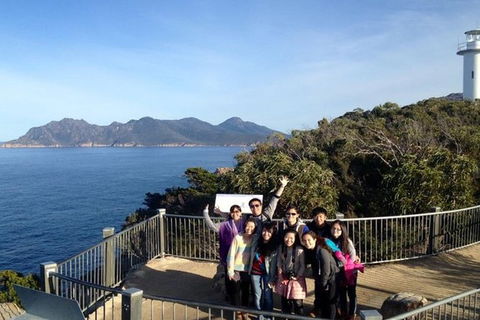 Half-Day Tour To Wineglass Bay From Launceston With Guide - Tourism Guide 3