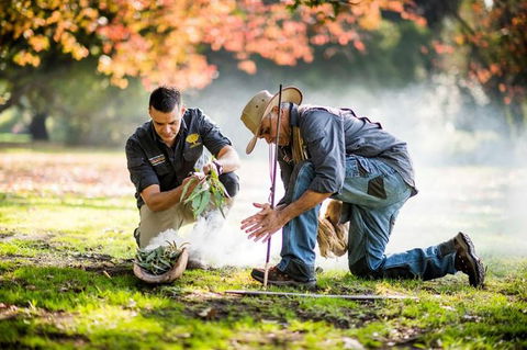 Aboriginal Heritage Walk - Royal Botanic Gardens Victoria, Melbourne Gardens - Tourism Guide 0