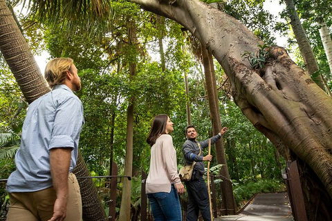 Aboriginal Heritage Walk - Royal Botanic Gardens Victoria, Melbourne Gardens - Tourism Guide 1