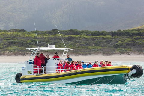 Wilsons Promontory Wilderness Cruise From Tidal River - Tourism Guide 2