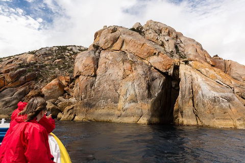 Wilsons Promontory Wilderness Cruise From Tidal River - Tourism Guide 4