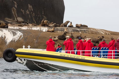 Wilsons Promontory Wilderness Cruise From Tidal River - Tourism Guide 3