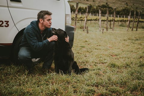 Daylesford Private, Corporate, Group Wine Tours: Wine, Cider, Gin, Vodka, Port! - Tourism Guide 3