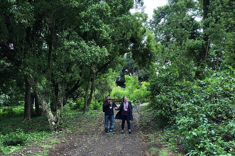 Alices Journeys Guided Walking Tours Of Daylesford - Tourism Guide 5