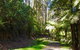 Half-Day Biking Activity From Aqueduct To California Redwoods - thumb 2