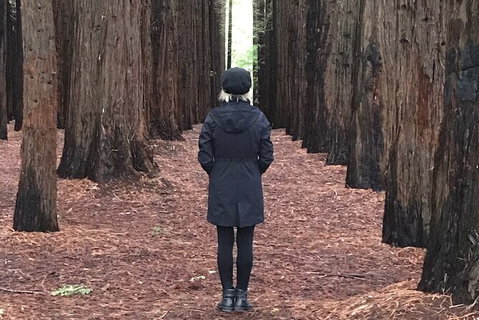 Half-Day Biking Activity From Aqueduct To California Redwoods - Tourism Guide 0