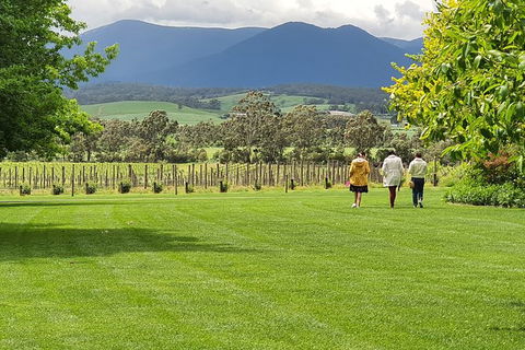 Yarra Valley Wine Tasting Day Tour From Melbourne - Travel Search 6